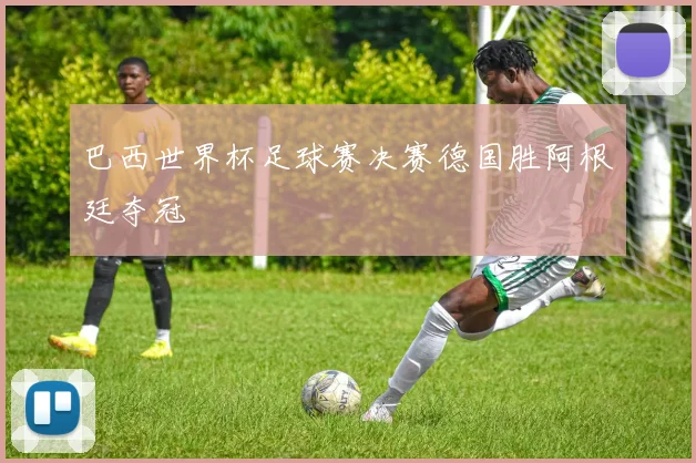 巴西世界杯足球赛决赛德国胜阿根廷夺冠