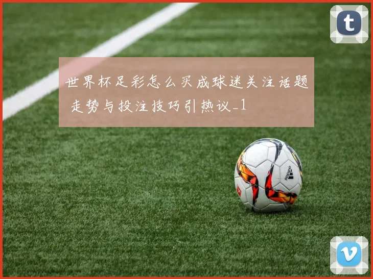 世界杯足彩怎么买成球迷关注话题 走势与投注技巧引热议_1