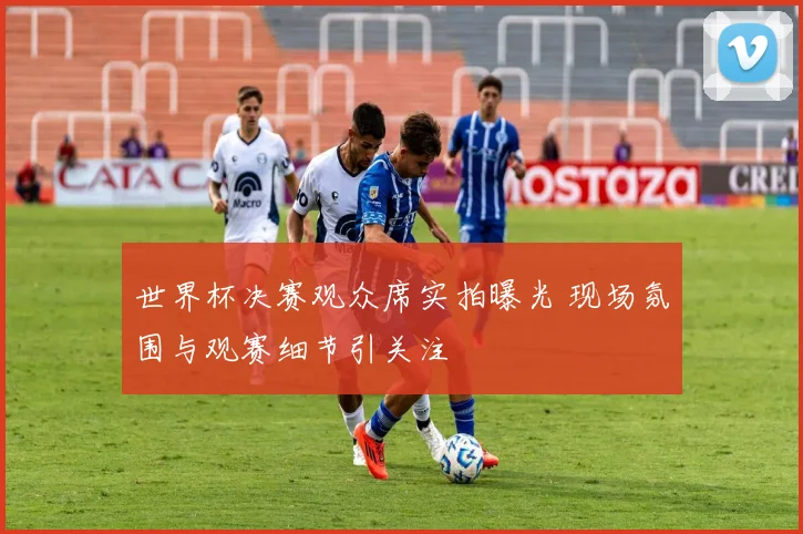 世界杯决赛观众席实拍曝光 现场氛围与观赛细节引关注