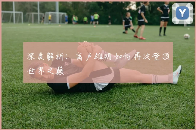 深度解析:高卢雄鸡如何再次登顶世界之巅