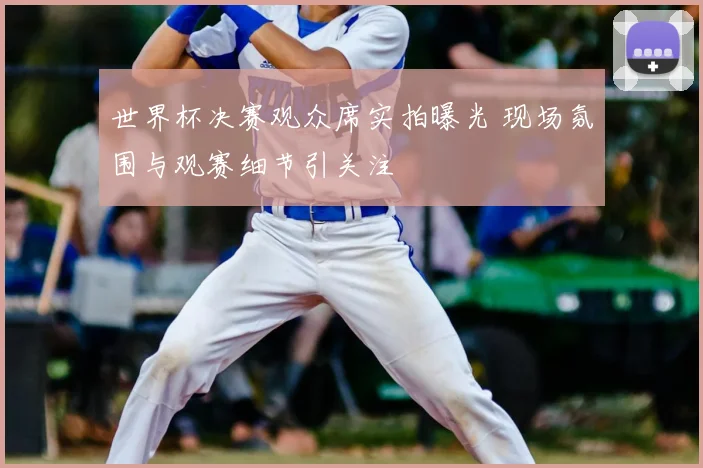 世界杯决赛观众席实拍曝光 现场氛围与观赛细节引关注