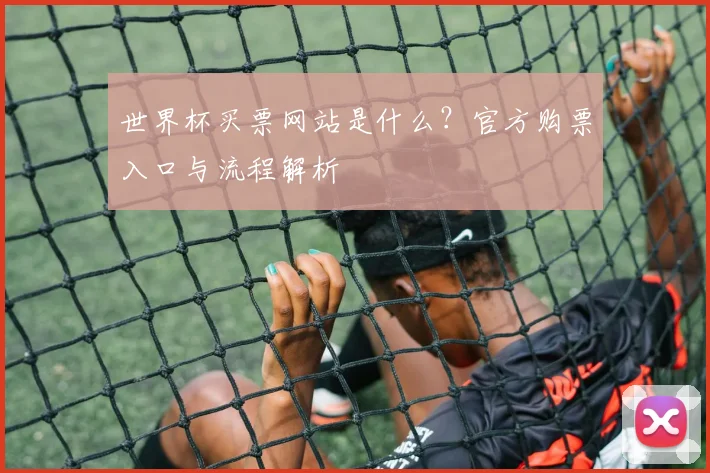 世界杯买票网站是什么？官方购票入口与流程解析