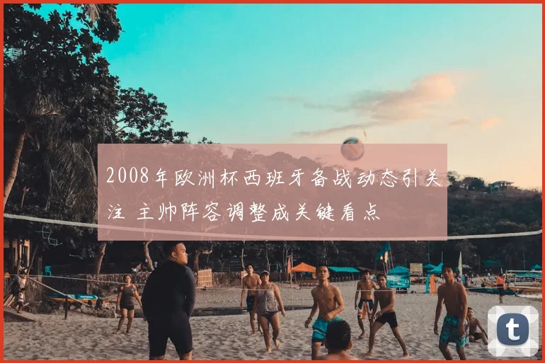 2008年欧洲杯西班牙备战动态引关注 主帅阵容调整成关键看点
